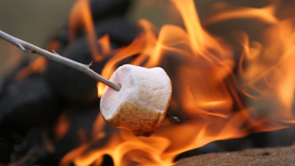 Pruning, stacking, and burning limbs on the farm